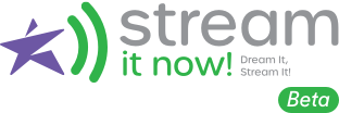StreamItNow Logo